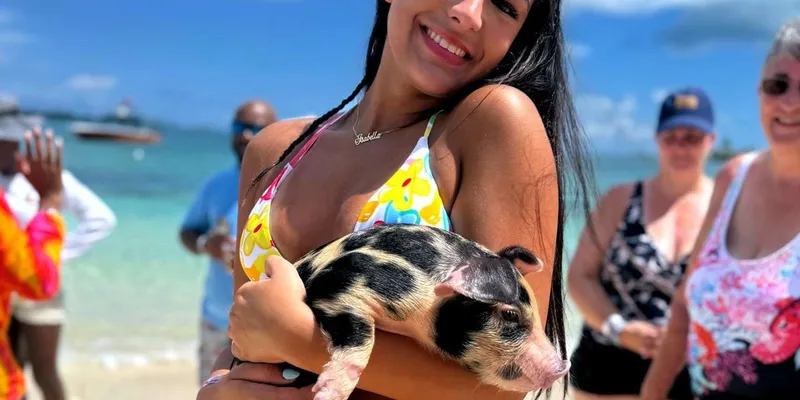 Swimming pigs wading in shallow turquoise water on a Nassau Bahamas snorkeling and beach club boat tour in Nassau